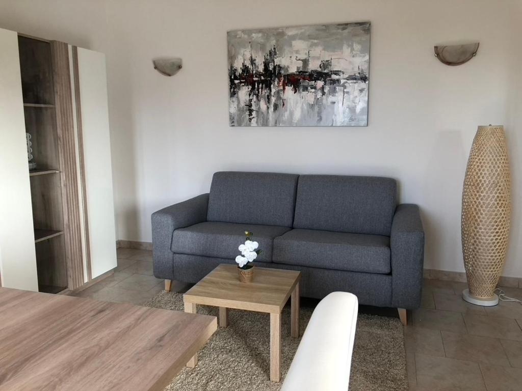 Appartement Rez De Villa Л'Иль-Рус Экстерьер фото